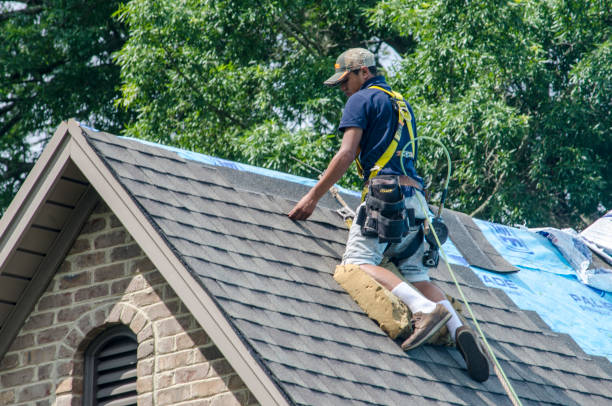 Residential Roof Replacement in Leland Grove, IL